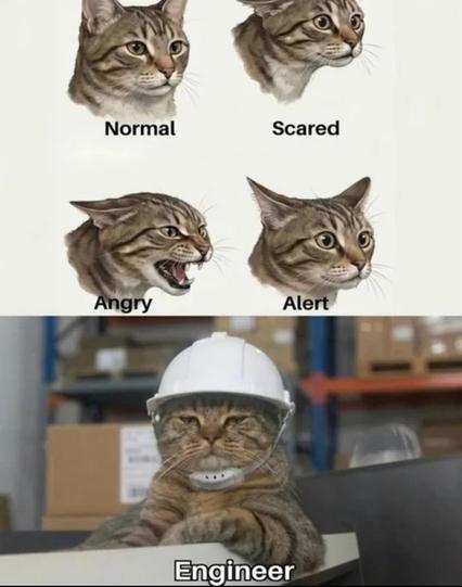 Different cat facial expressions labeled as "Normal," "Scared," "Angry," and "Alert," with a cat wearing a hard hat labeled as "Engineer."