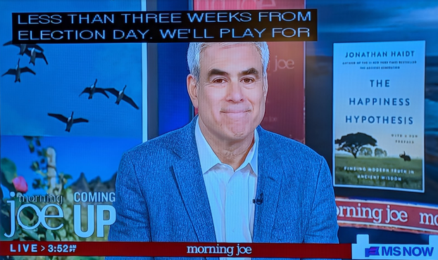 screenshot of Jonathan haidt on morning joe